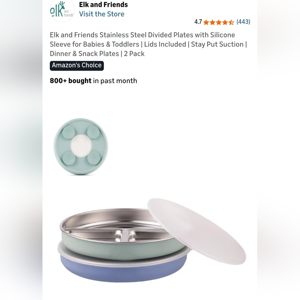 Stainless Steel Divided Plates with Silicone Sleeve - Green and Blue